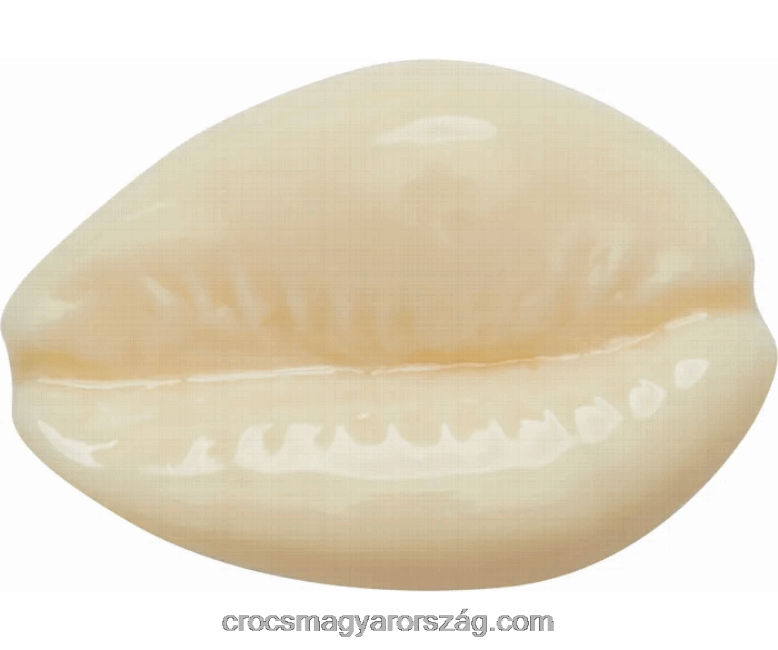 puka kagyló Crocs00XTV1109 puka kagyló Crocs00XTV1109